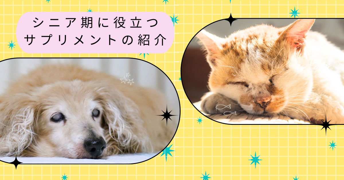 シニア期に役立つサプリメント?のご紹介 - 習志野市の動物病院なら 