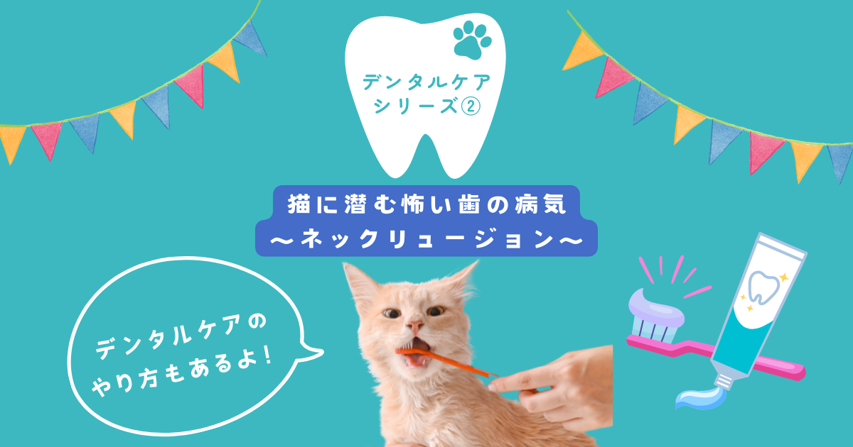 更新】デンタルケアシリーズ②〜猫の歯の病気について考えてみよう
