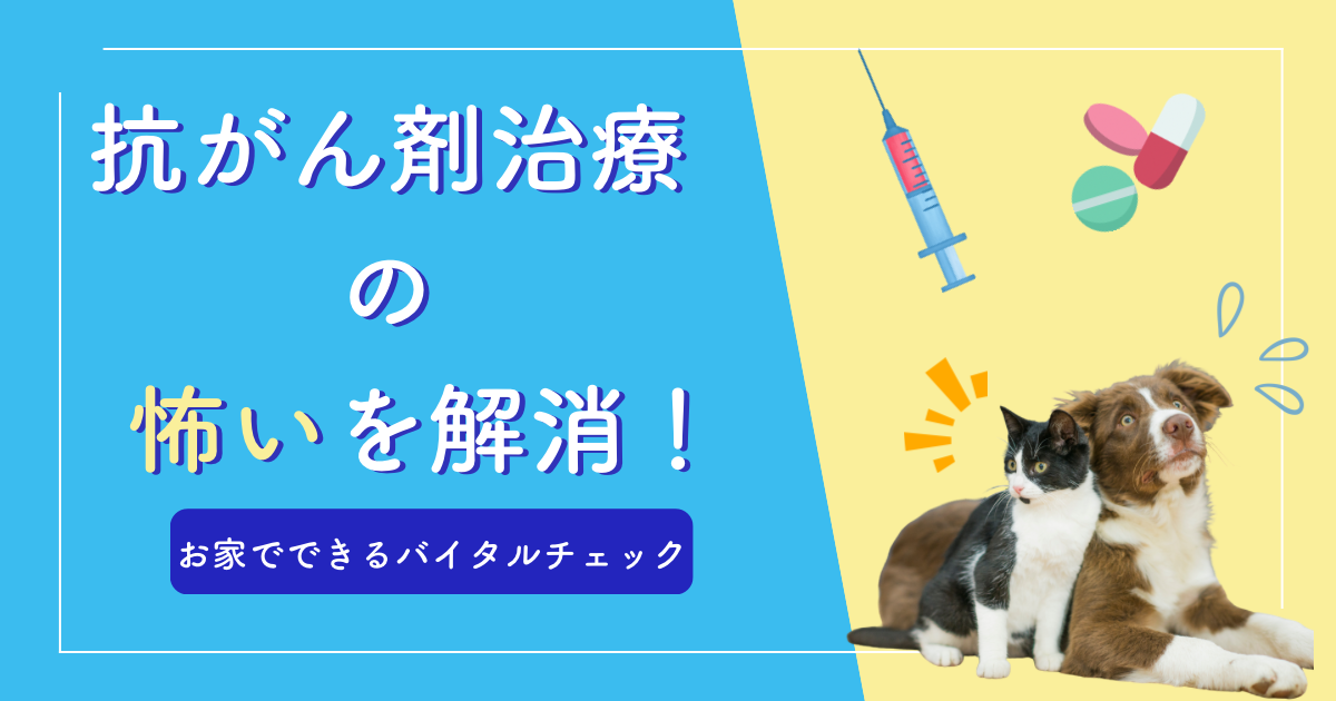 抗がん剤治療の怖いを解消！〜お家でできるバイタルチェック